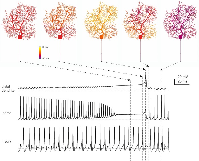 Figure 7