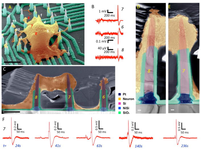 Figure 4