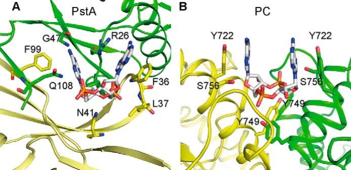 FIGURE 9.