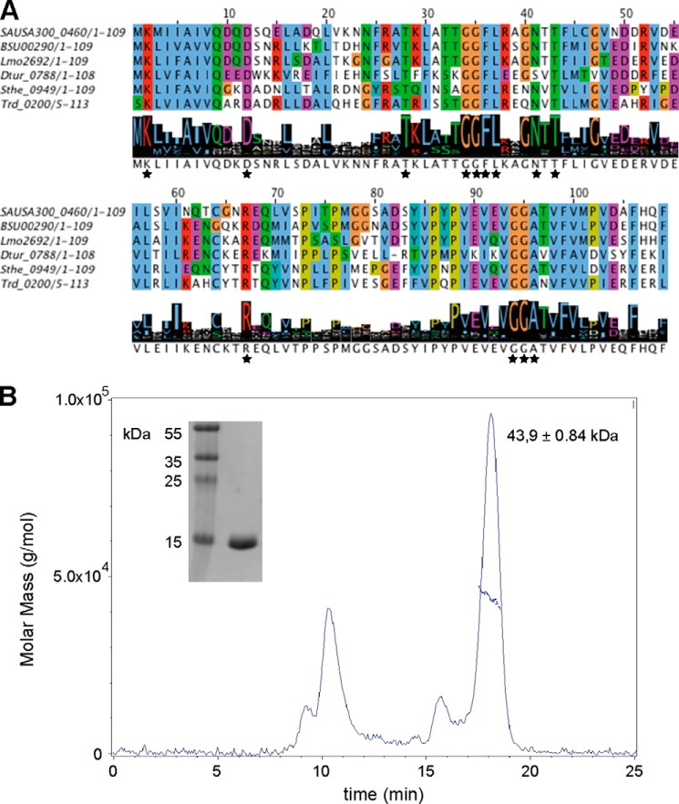 FIGURE 1.