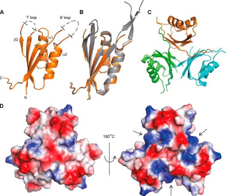 FIGURE 2.