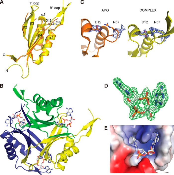 FIGURE 5.