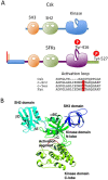 Fig 6