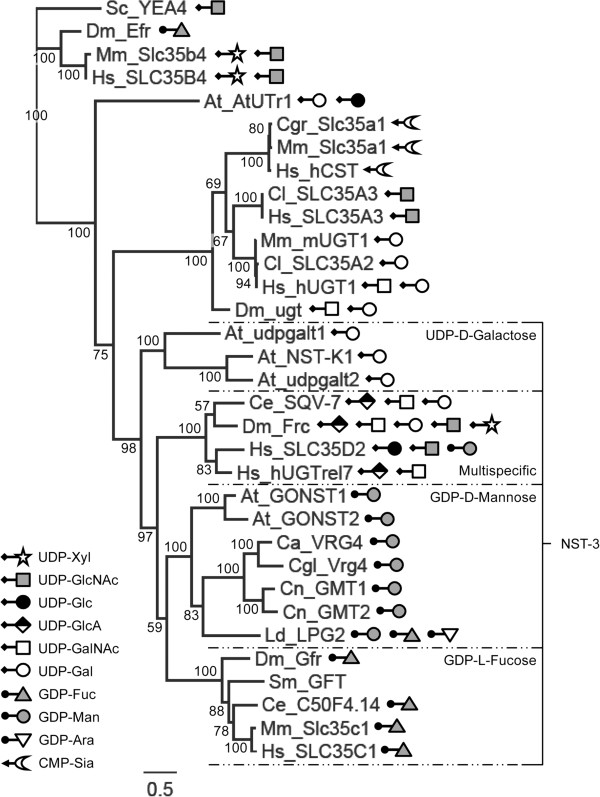 Figure 6