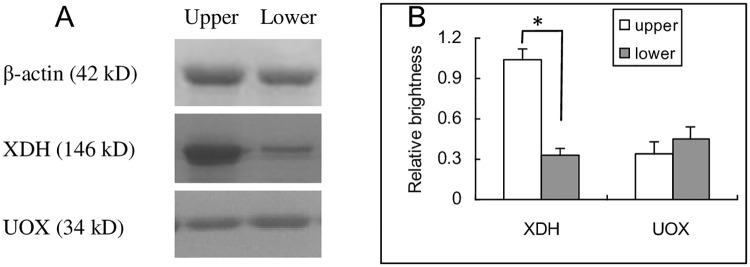 Fig 5