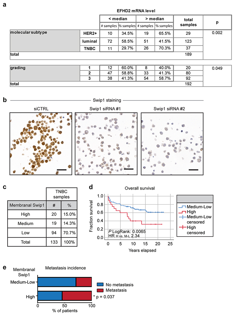 Extended Data fig. 10