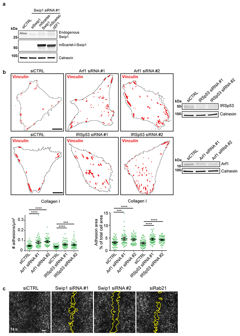 Extended Data fig. 8