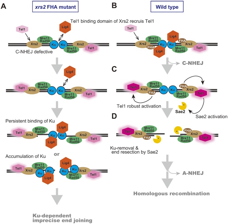 Fig 6