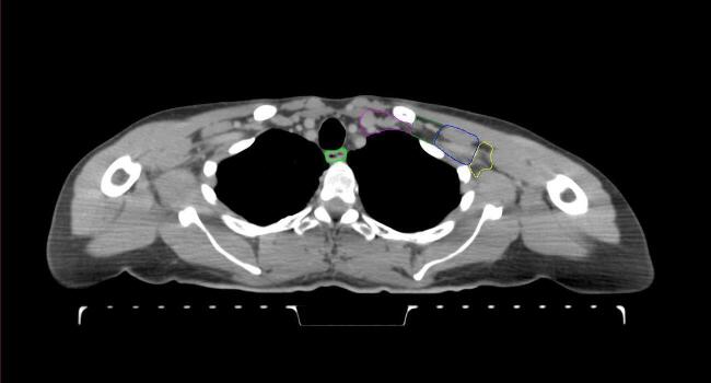 Supplementary figure 28