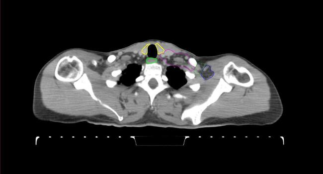 Supplementary figure 19