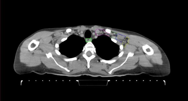 Supplementary figure 26