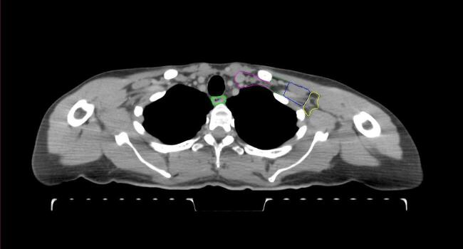 Supplementary figure 27