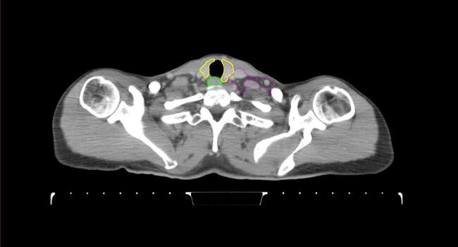 Supplementary figure 16