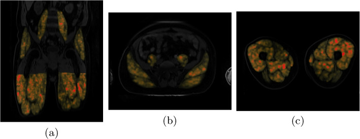 Fig. 6