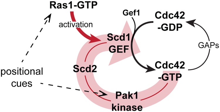 Fig 10