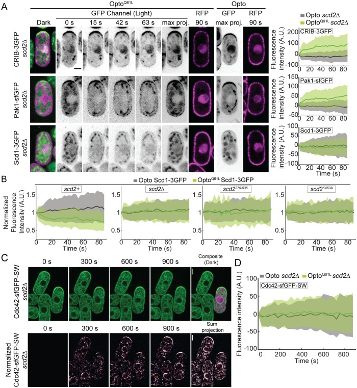 Fig 4