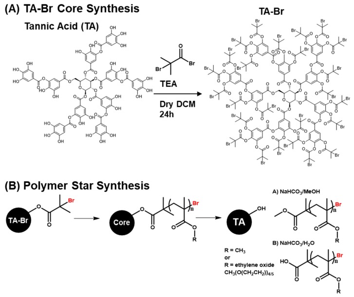 Scheme 2