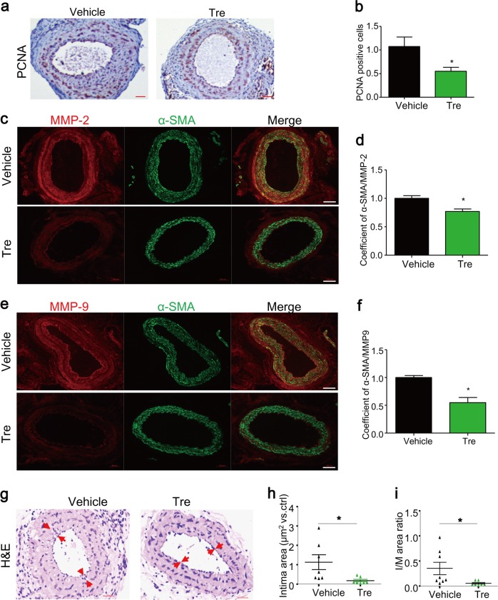 Fig. 9