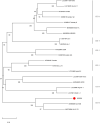 Fig. 2