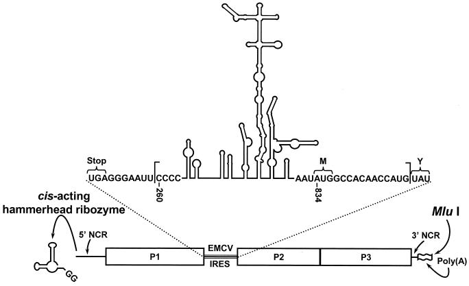 FIG. 4.