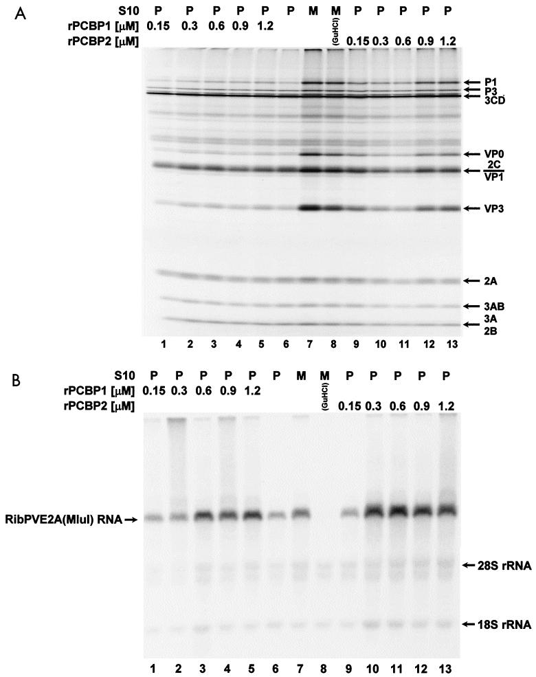 FIG. 5.