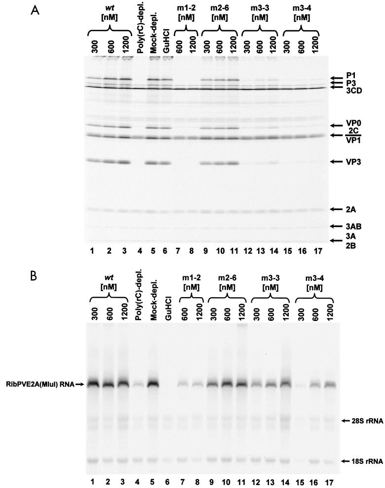 FIG. 8.