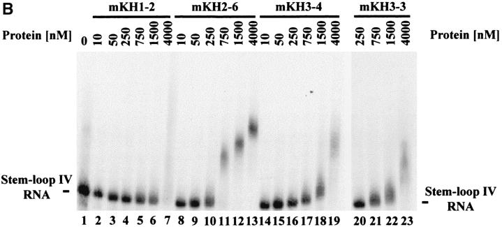 FIG. 7.