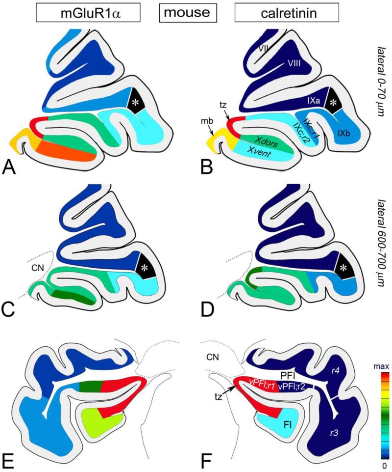 Fig. 10