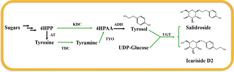 Fig. 1