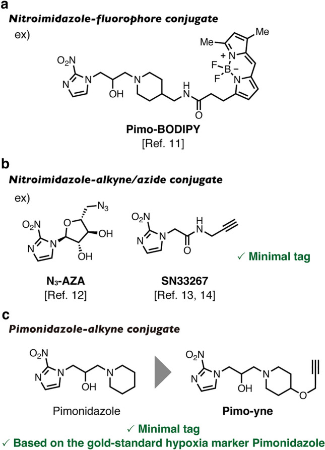 Fig. 2