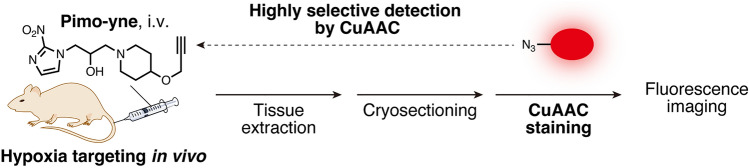 Fig. 3
