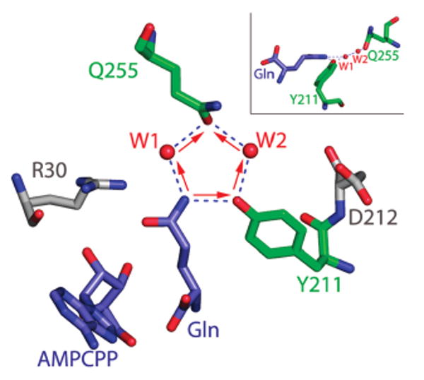 Figure 7