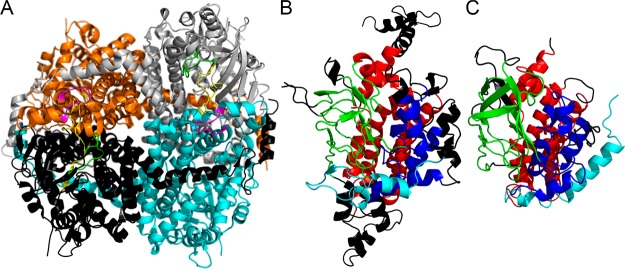 Figure 4