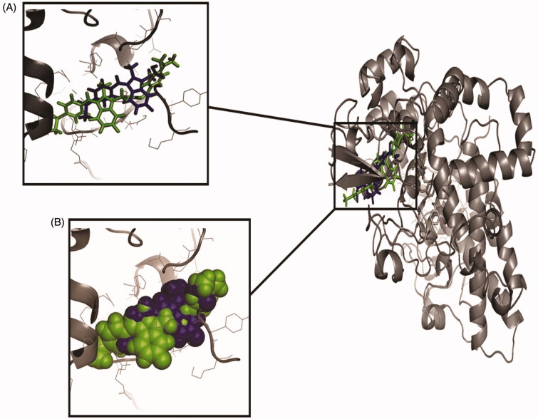 Figure 4.