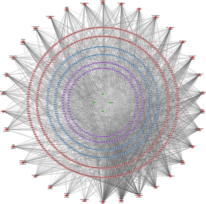 Figure 13