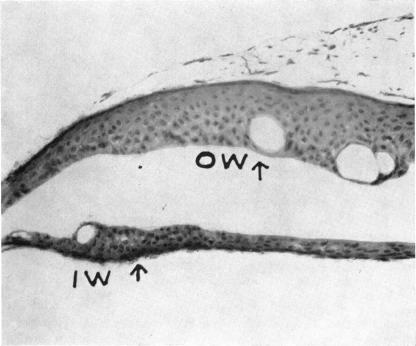 FIGURE 24.