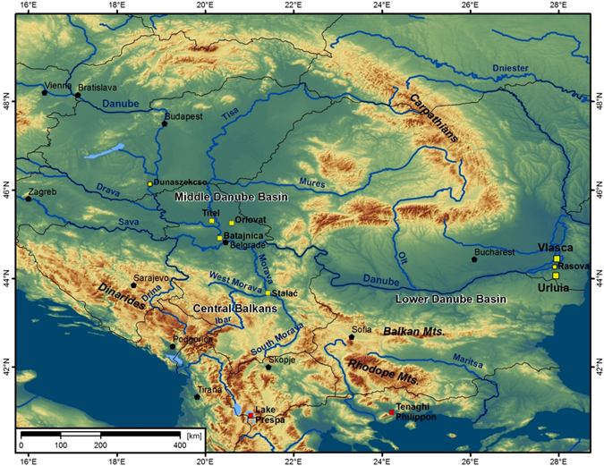 Figure 1