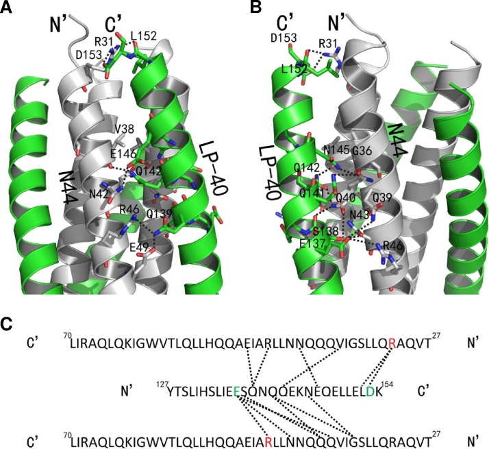 FIG 8