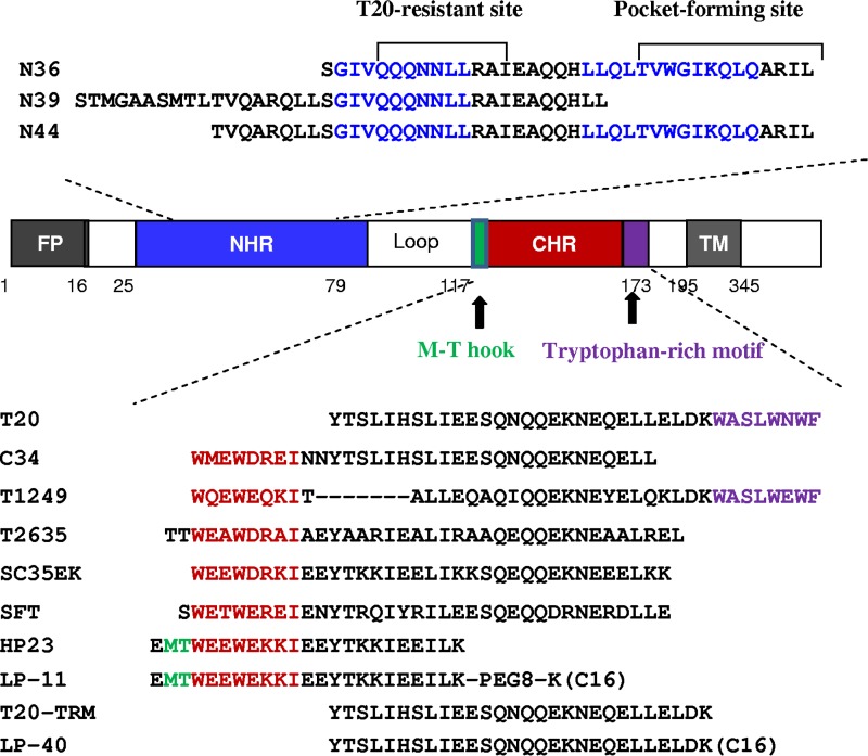 FIG 1