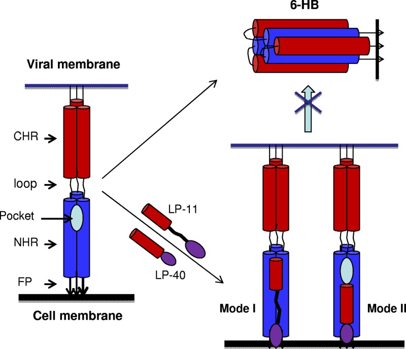 FIG 4