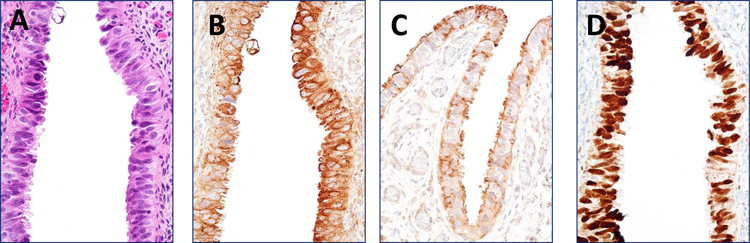 Figure 2: