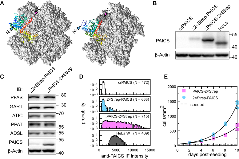 Figure 3