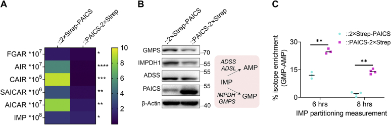 Figure 6