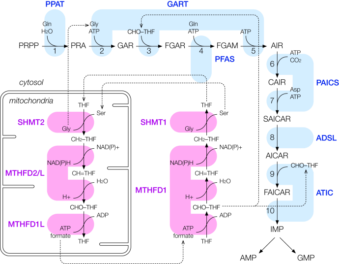 Figure 1