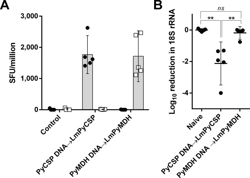 Fig 6