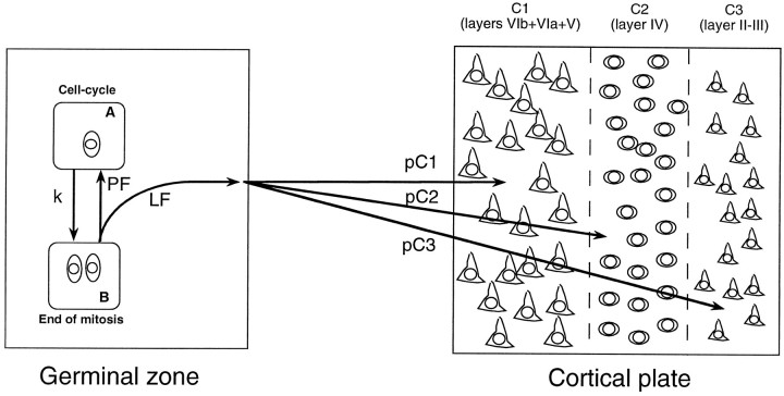 Fig. 14.