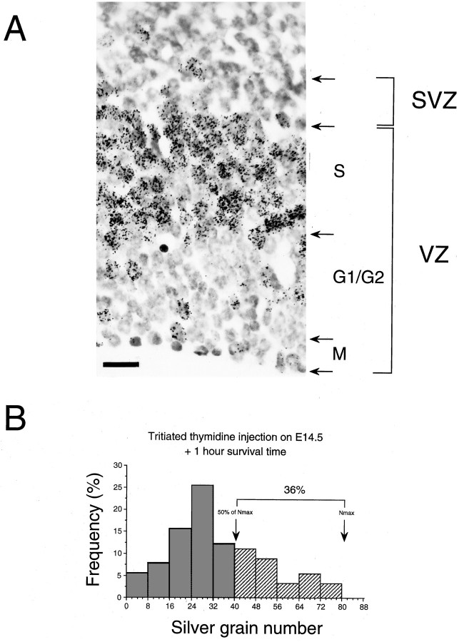 Fig. 11.