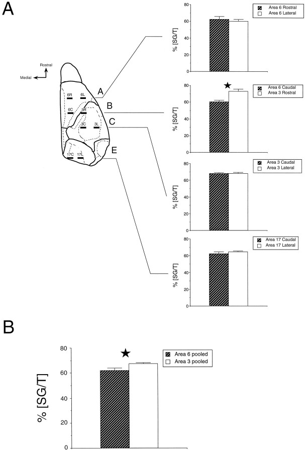 Fig. 12.