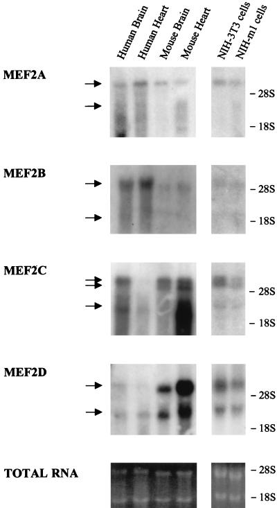 FIG. 6