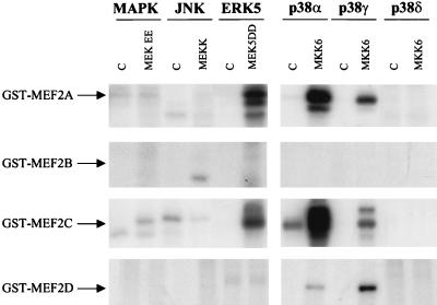 FIG. 7